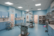 Local SEO for Veterinary Practises