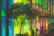 Loughborough WordPress Website Design